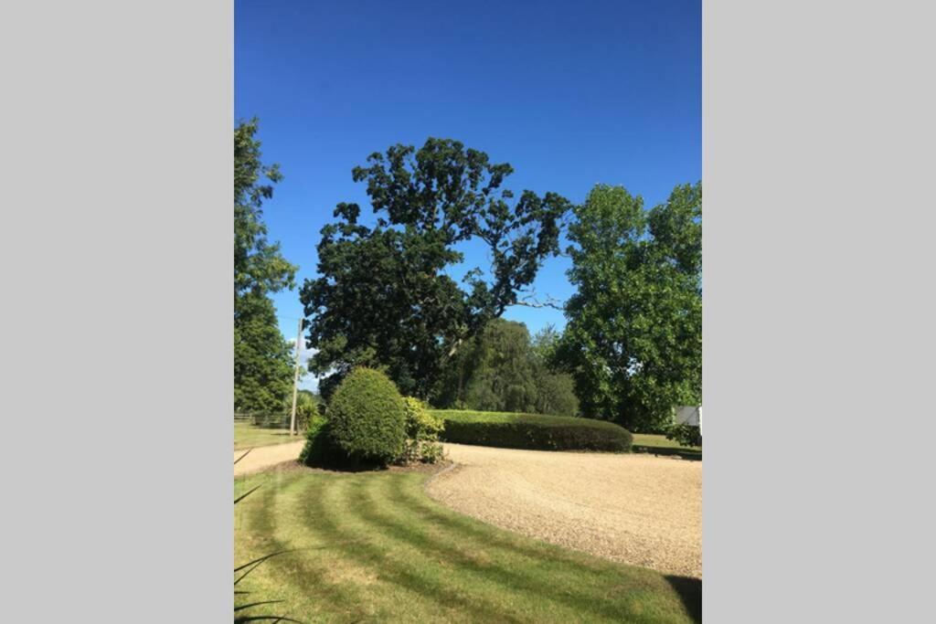 Stay On The Grounds Of This Beautiful Manor House Wimborne Minster Exterior foto